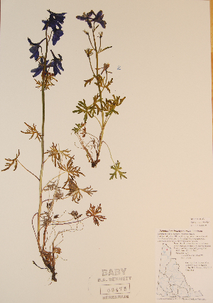  ( - CCDB-23321-E09)  @11 [ ] CreativeCommons - Attribution (2016) Unspecified Unspecified