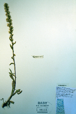  ( - CCDB-18324-A1)  @11 [ ] CreativeCommons - Attribution Non-Commercial Share-Alike (2012) CBG Photography Group Unspecified