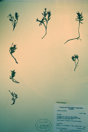  ( - CCDB-18329-B5)  @11 [ ] CreativeCommons - Attribution Non-Commercial Share-Alike (2012) CBG Photography Group Unspecified