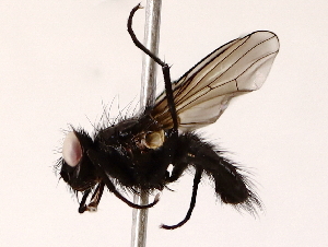 ( - BIOUG71205-A04)  @11 [ ] CreativeCommons - Attribution (2022) CBG Photography Group Centre for Biodiversity Genomics