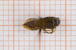  ( - RM3_1165)  @11 [ ] (by-nc-nd) (2025) Unspecified Universit&agrave; degli Studi Roma Tre