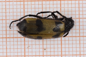  ( - RM3_1483)  @11 [ ] (by-nc-nd) (2025) Unspecified Università degli Studi Roma Tre