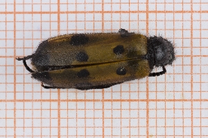  ( - RM3_1496)  @11 [ ] (by-nc-nd) (2025) Unspecified Università degli Studi Roma Tre