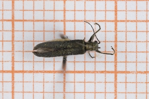  ( - RM3_425)  @11 [ ] (by-nc-nd) (2025) Unspecified Universit&agrave; degli Studi Roma Tre