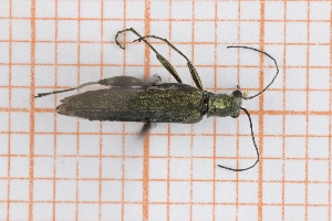  ( - RM3_426)  @11 [ ] (by-nc-nd) (2025) Unspecified Universit&agrave; degli Studi Roma Tre