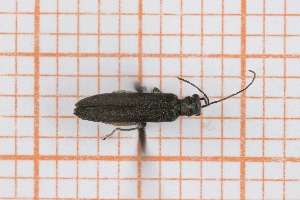  ( - RM3_427)  @11 [ ] (by-nc-nd) (2025) Unspecified Universit&agrave; degli Studi Roma Tre