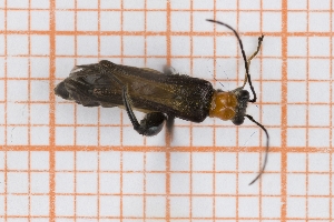  ( - RM3_429)  @11 [ ] (by-nc-nd) (2025) Unspecified Universit&agrave; degli Studi Roma Tre