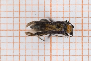  ( - RM3_430)  @11 [ ] (by-nc-nd) (2025) Unspecified Universit&agrave; degli Studi Roma Tre