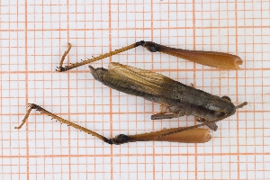  ( - RM3_888)  @11 [ ] (by-nc-nd) (2025) Unspecified Universit&agrave; degli Studi Roma Tre