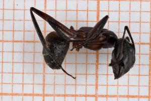  ( - RM3_858)  @11 [ ] (by-nc-nd) (2025) Unspecified Università degli Studi Roma Tre