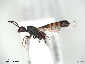  ( - ZSM-HYM-34400-B02)  @11 [ ] by-nc-sa (2021) Univerzita Hradec Králové Univerzita Hradec Králové