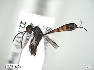  ( - ZSM-HYM-34400-B04)  @11 [ ] by-nc-sa (2021) Univerzita Hradec Králové Univerzita Hradec Králové