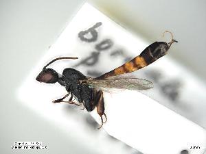  ( - ZSM-HYM-34400-B05)  @11 [ ] by-nc-sa (2021) Univerzita Hradec Králové Univerzita Hradec Králové