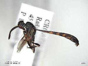  ( - ZSM-HYM-34400-E10)  @11 [ ] by-nc-sa (2021) Univerzita Hradec Králové Univerzita Hradec Králové