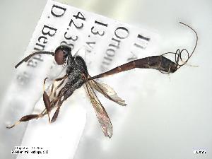  ( - ZSM-HYM-34400-G06)  @11 [ ] by-nc-sa (2021) Univerzita Hradec Králové Univerzita Hradec Králové