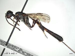  ( - ZSM-HYM-34400-G08)  @11 [ ] by-nc-sa (2021) Univerzita Hradec Králové Univerzita Hradec Králové