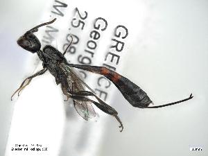  ( - ZSM-HYM-34400-G09)  @11 [ ] by-nc-sa (2021) Univerzita Hradec Králové Univerzita Hradec Králové