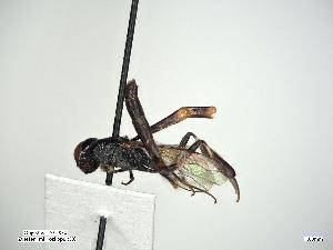  ( - ZSM-HYM-34400-H03)  @11 [ ] by-nc-sa (2021) Univerzita Hradec Králové Univerzita Hradec Králové