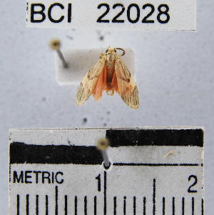  ( - YB-BCI22028)  @12 [ ] No Rights Reserved  Unspecified Unspecified