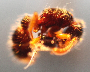  ( - YB-BCI28960)  @12 [ ] No Rights Reserved  Unspecified Unspecified