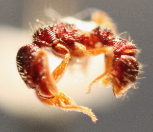  ( - YB-BCI3037)  @12 [ ] No Rights Reserved  Unspecified Unspecified