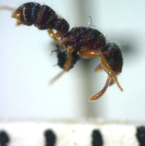  ( - YB-BCI56714)  @12 [ ] No Rights Reserved  Unspecified Unspecified