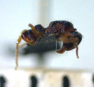  ( - YB-BCI56898)  @12 [ ] No Rights Reserved  Unspecified Unspecified