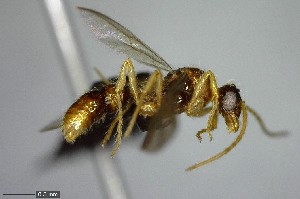  ( - YB-BCI137482)  @12 [ ] Unspecified (default): All Rights Reserved  No Rights Reserved Unspecified