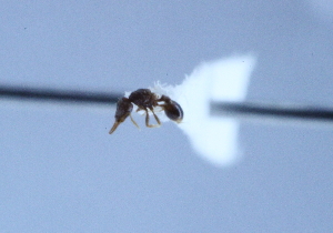  ( - YB-BCI10436)  @12 [ ] No Rights Reserved  Unspecified Unspecified