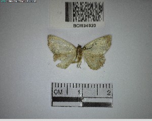  ( - YB-BCI194920)  @11 [ ] No Rights Reserved  Unspecified Unspecified