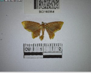  ( - YB-BCI193564)  @11 [ ] No Rights Reserved  Unspecified Unspecified