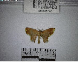  ( - YB-BCI182663)  @11 [ ] No Rights Reserved  Unspecified Unspecified