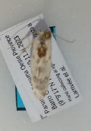  ( - YB-BCI187626)  @11 [ ] No Rights Reserved  Unspecified Unspecified