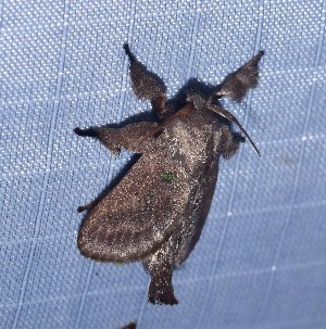  ( - YB-BCI189249)  @11 [ ] No Rights Reserved  Unspecified Unspecified