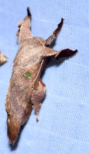  ( - YB-BCI189814)  @11 [ ] No Rights Reserved  Unspecified Unspecified