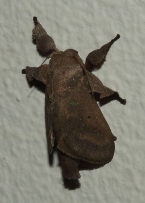  ( - YB-BCI189852)  @11 [ ] No Rights Reserved  Unspecified Unspecified