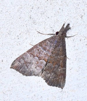  ( - YB-BCI190727)  @11 [ ] No Rights Reserved  Unspecified Unspecified