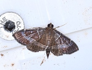  ( - YB-BCI190841)  @11 [ ] No Rights Reserved  Unspecified Unspecified