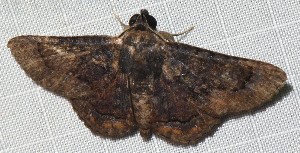  ( - YB-BCI191569)  @11 [ ] No Rights Reserved  Unspecified Unspecified