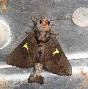  ( - YB-BCI191692)  @11 [ ] No Rights Reserved  Unspecified Unspecified