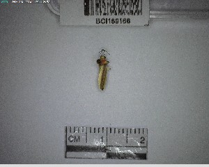  ( - YB-BCI189166)  @11 [ ] No Rights Reserved  Unspecified Unspecified