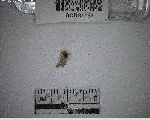  ( - YB-BCI191152)  @11 [ ] No Rights Reserved  Unspecified Unspecified