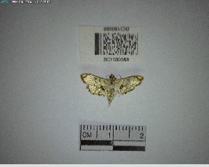  ( - YB-BCI180988)  @11 [ ] No Rights Reserved  Unspecified Unspecified