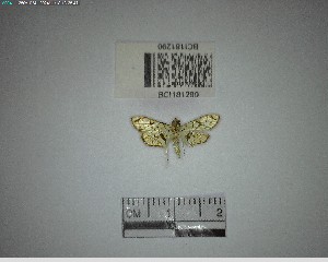  ( - YB-BCI181290)  @11 [ ] No Rights Reserved  Unspecified Unspecified