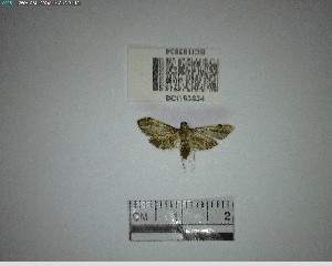  ( - YB-BCI193834)  @11 [ ] No Rights Reserved  Unspecified Unspecified