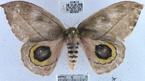  ( - YB-BCI40321)  @14 [ ] No Rights Reserved (2011) Unspecified Unspecified