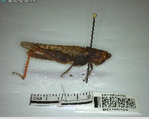  ( - YB-BCI195164)  @11 [ ] No Rights Reserved  Unspecified Unspecified