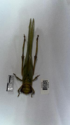  ( - YB-BCI195159)  @11 [ ] No Rights Reserved  Unspecified Unspecified