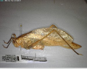  ( - YB-BCI195564)  @11 [ ] No Rights Reserved  Unspecified Unspecified