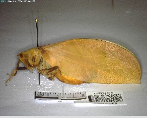  ( - YB-BCI195573)  @11 [ ] No Rights Reserved  Unspecified Unspecified